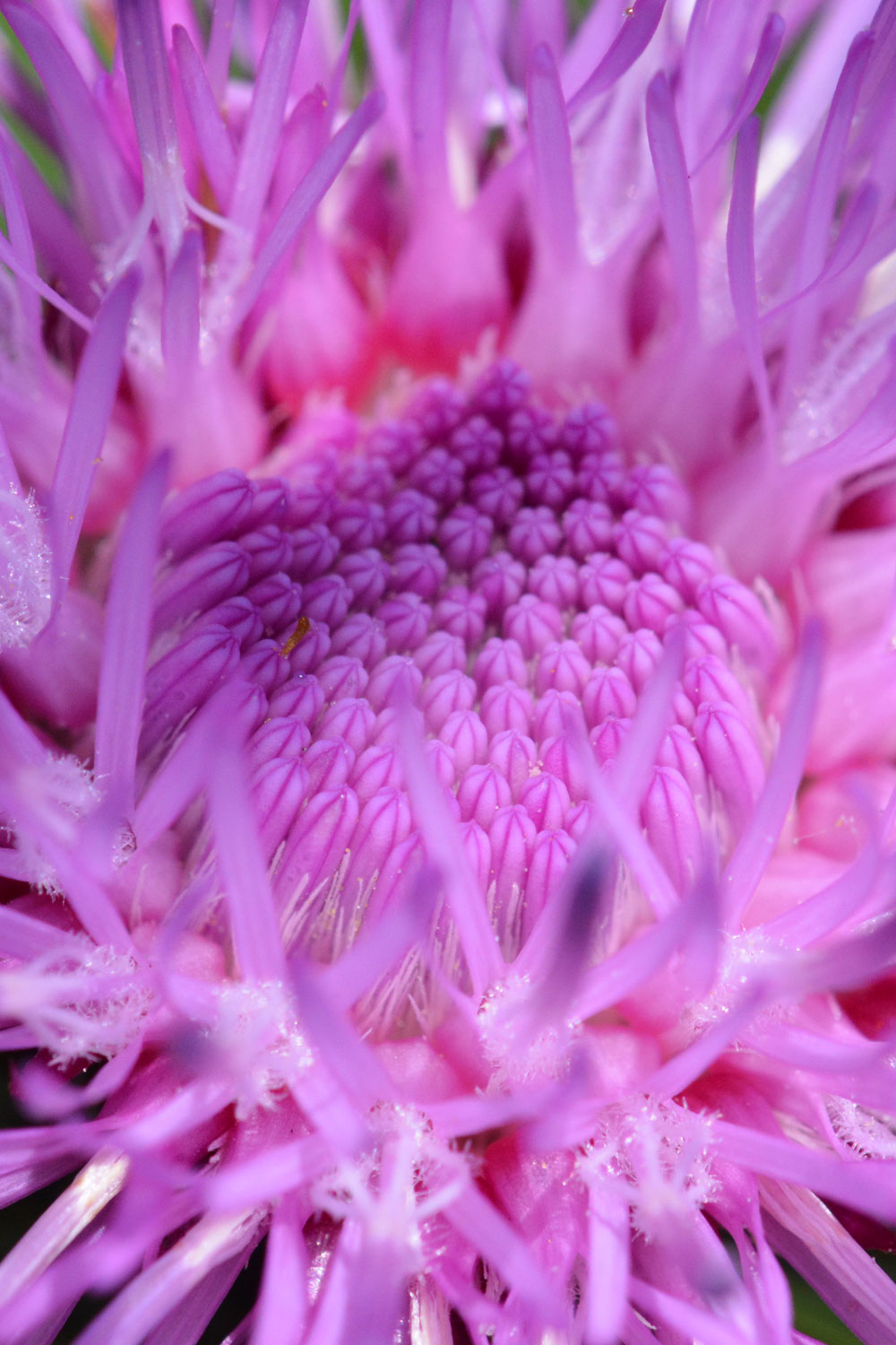 Gastroenterologie Dr. Karin StenzelSchediwy